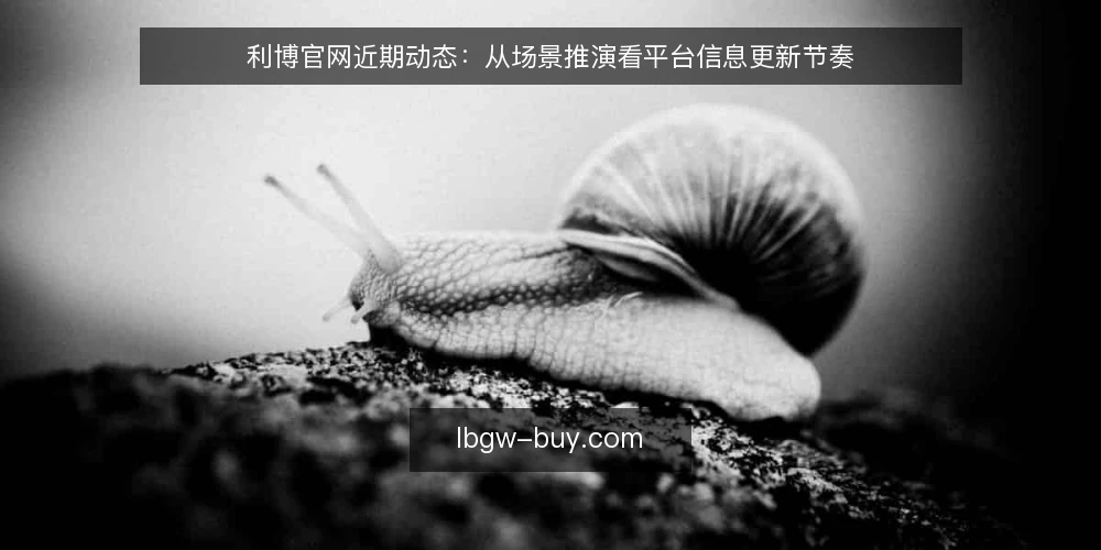 利博官网近期动态：从场景推演看平台信息更新节奏 — 场景设定：用户追踪利博官网资讯的典型路径 配图