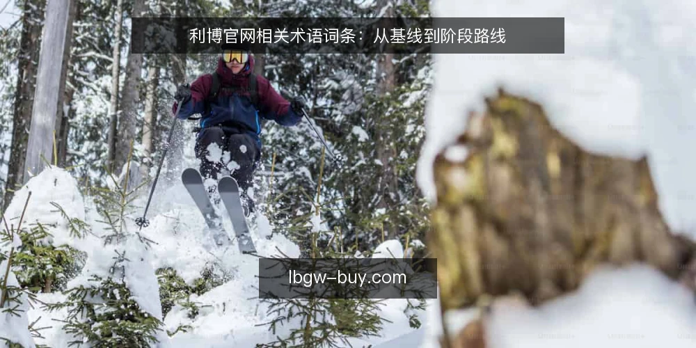 利博官网相关术语词条:从基线到阶段路线 — 基线:利博官网术语集 配图