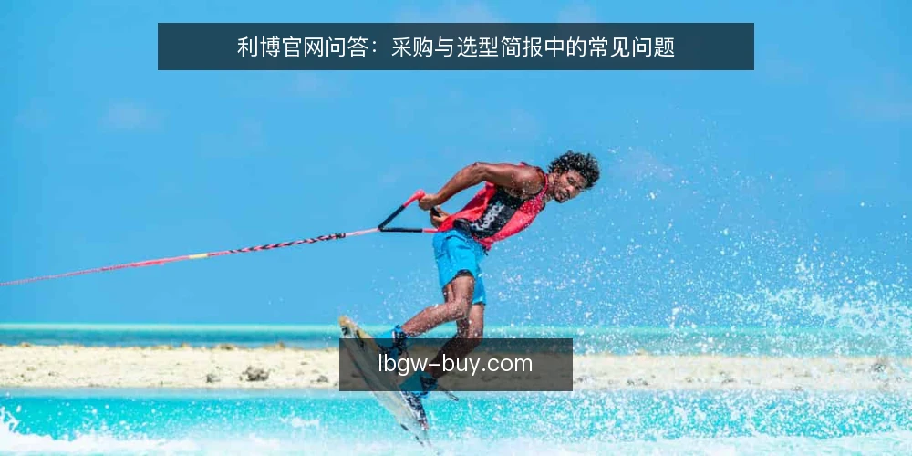 利博官网问答：采购与选型简报中的常见问题 — 利博官网需要解决什么问题？ 配图